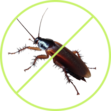 protection item image 1.png