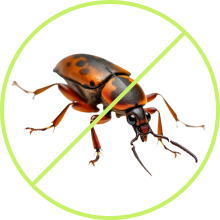 protection item image 3.png